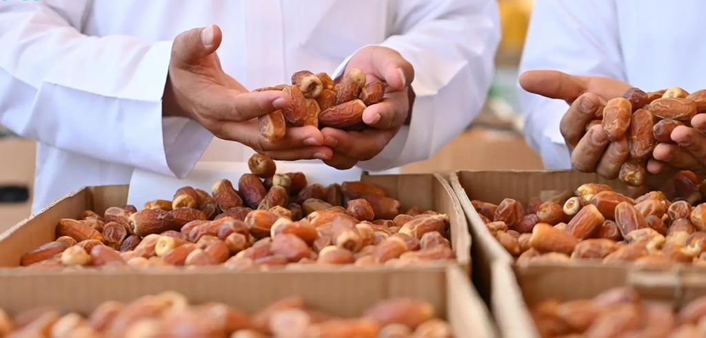 Supporting the Saudi Date Industry Supporting the Saudi Date Industry