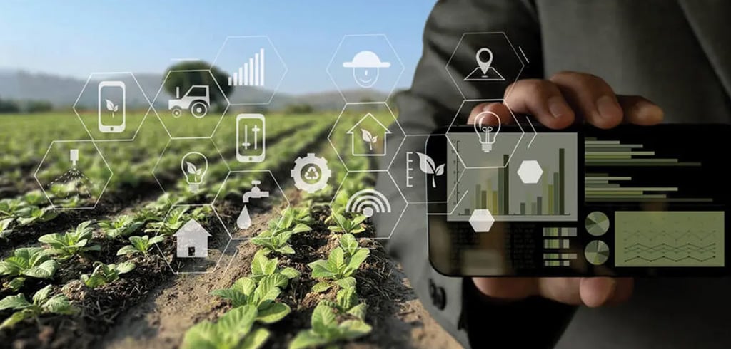 Smart Agriculture – Data for Every Farmer Smart Agriculture – Data for Every Farmer