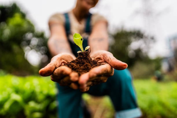 Agriculture & Food Security